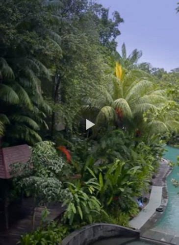 Sustainability Sustainability Overview Video Singapore Resort