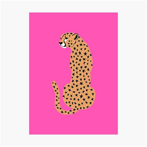 Star Cheetahleopard Photographic Print By Lizziesumner Redbubble