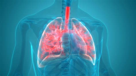 What Are The 4 Stages Of Pneumonia Find Out Here