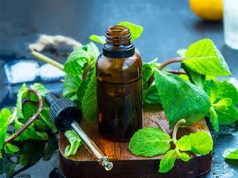 Peppermint Oil | Guide To Essential Oils | Andrew Weil, M.D.