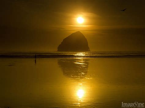 Sunset Tides Imagevine