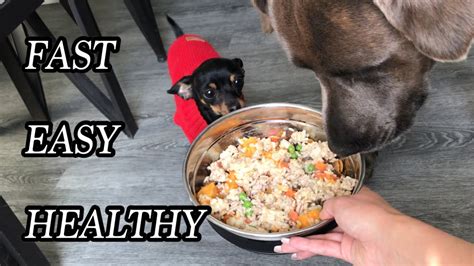 Maybe you would like to learn more about one of these? HEALTHY HOMEMADE DOG FOOD RECIPE | WHAT I FEED MY DOGS ...
