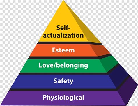 Maslows Hierarchy Of Needs Humanistic Psychology Homo Sapiens