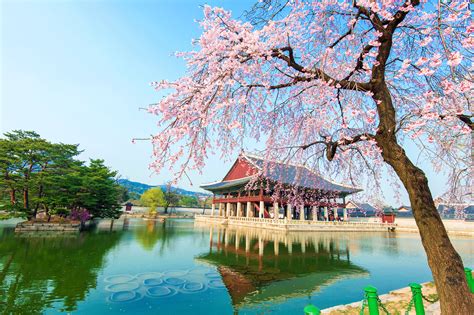 Korea Scenery Wallpapers Top Free Korea Scenery Backgrounds
