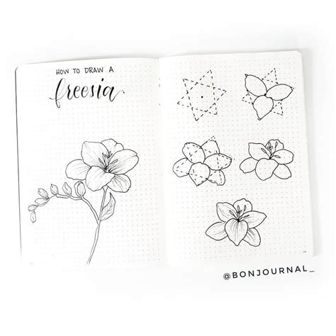 Bullet Journal Flower Doodles Lovault