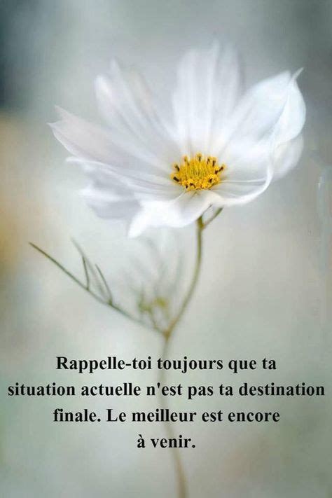 Franch Quotes : #citation #citationdujour #proverbe #quote #frenchquote ...