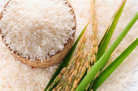 Pk 386 Fragrant Rice Agro Hub