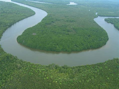 Sungai terpanjang di dunia berada di benua afrika. Sabah Negeri Di Bawah Bayu: Sungai Kinabatangan