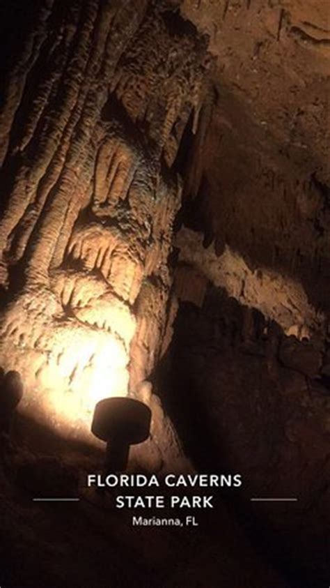 12301 gulf beach highway pensacola fl 32507 falling waters state park. Florida Caverns State Park (Marianna): Top Tips Before You ...