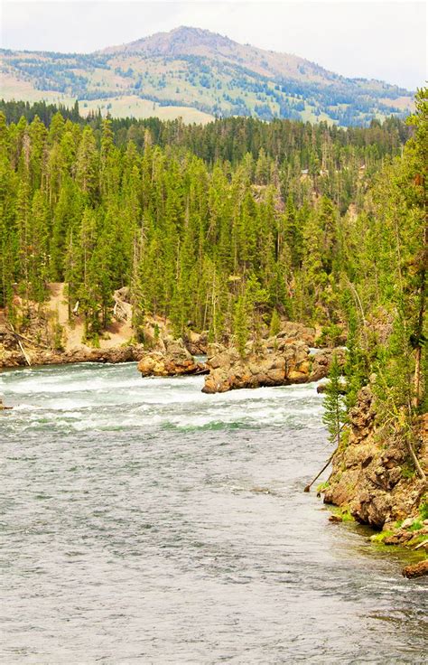 Yellowstone National Park Trip By Livinglocurto 27 Travel Ideas To