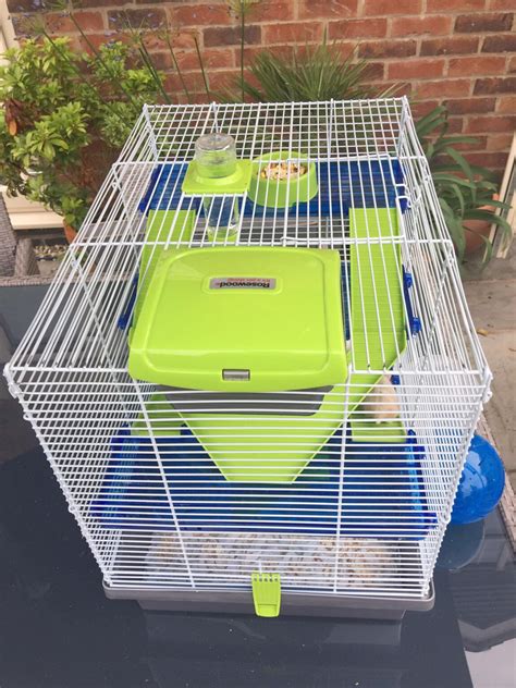 Dwarf Hamster Cage Setup