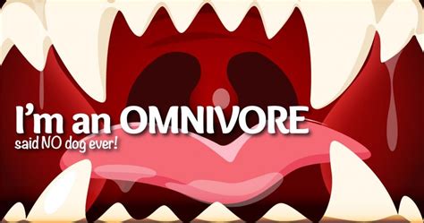The Great Debate Omnivore Or Carnivore
