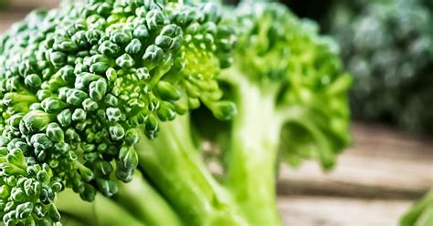 How To Grow And Care For Broccoli Love The Garden