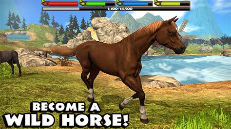 Horse Games