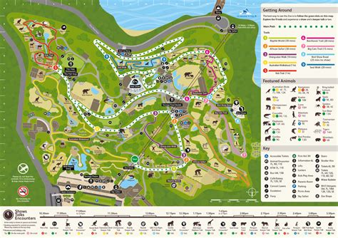 Map Of Taronga Zoo Animals And What They Are