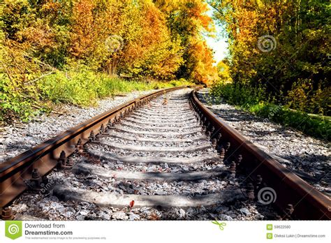 Railroad In Autumn Forest Stock Photo Image Of Metal 59622580