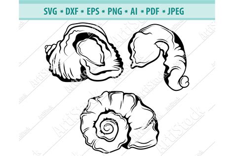Seashell Svg Clam Svg Ocean Svg Shell Svg Dxf Png Eps 521651