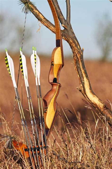 I Need My Bow And Arrows Best Recurve Bow Recurve Bow Hunting