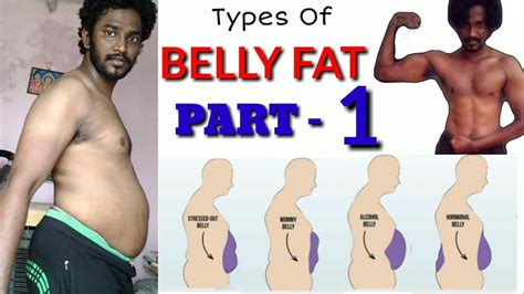 Belly Fat Types Men Herbs And Food Recipes