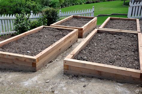 Raised beds! Raised beds!