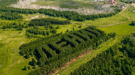 Russian Drone Photographer Captures Lenin Shaped Forest In Siberia
