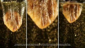 Wendy's spicy chicken sandwich they are now charging $4.69 for just the sandwich which makes it $5.02 with tax. Wendy's TV Commercial, 'NCAA March Madness: Free Honey ...