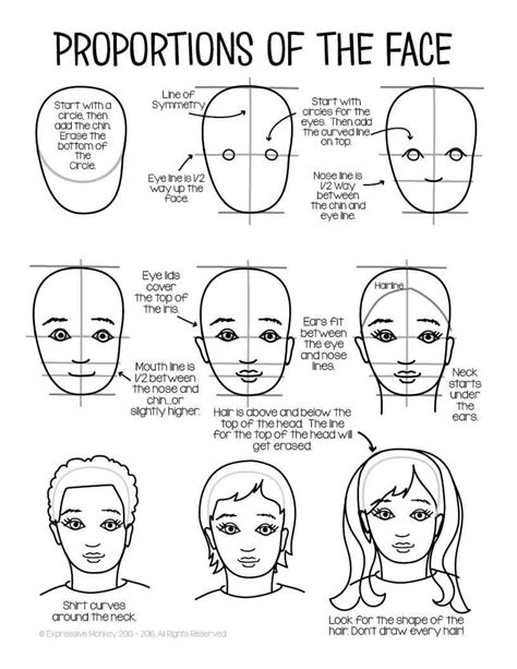 Facial Proportions Drawing Handout