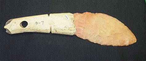 Socketed Antler And Bone Handles
