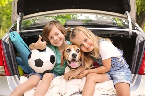 Find tv armoire with doors and drawers. How to Choose a Dog for Your Family with Kids | Greensboro Vet