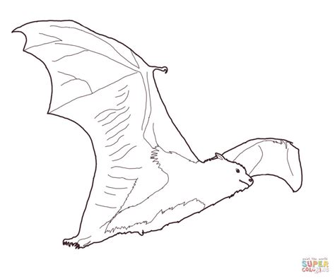 Fruit Bat Coloring Page Free Printable Coloring Pages