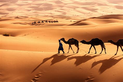 ¿Cómo se forman los desiertos?