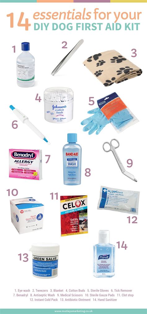 14 Essentials For Your Diy Dog First Aid Kit Diy Dog Stuff Dog Care