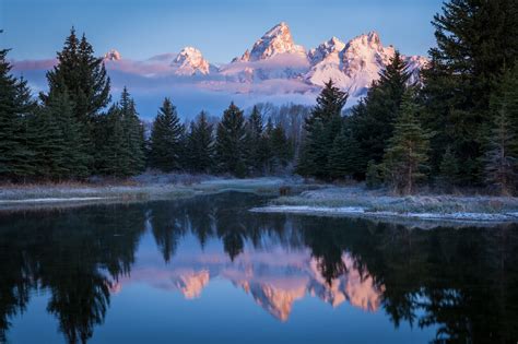 Download Fog Forest Wood Tree Reflection Mountain Wyoming Grand Teton