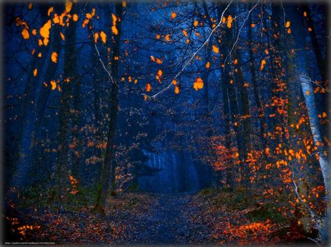Autumn Night Desktop Wallpapers Wallpaper Cave