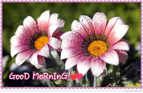 Get the coffee quickly, share a sentence or an image of the goodmorning and start the day with grit! Good Morning - Flowers - DesiComments.com