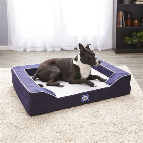 Sealy Lux Premium Orthopedic Dog Bed Medium Navy