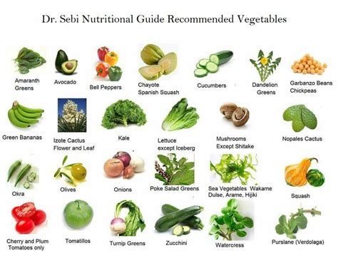 Dr Sebi Approved Veggies Dr Sebi Alkaline Food Dr Sebi Diet Alkaline Foods List