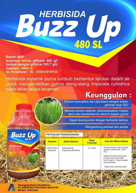 Buzz Up Sl Katalog Digital Cba