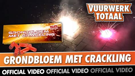 Grondbloem Met Crackling Vuurwerk Vuurwerktotaal Official Video