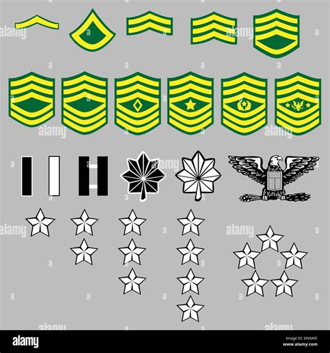 Us Army Rangabzeichen Stock Vektorgrafik Alamy