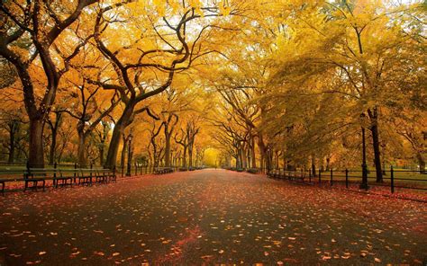 Explore the latest collection of nature wallpapers, backgrounds for powerpoint, pictures and photos in high resolutions that come in different sizes to fit your desktop perfectly and presentation templates. Nature Background HD (73+ images)