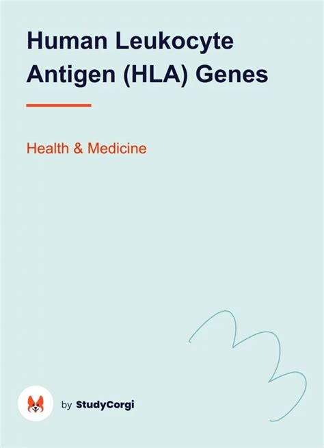 Human Leukocyte Antigen Hla Genes Free Essay Example