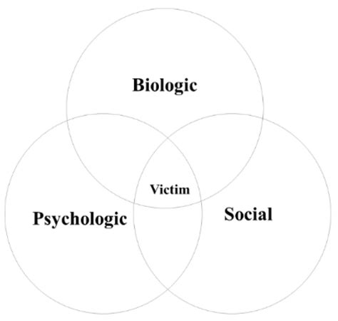 Social Sciences Free Full Text A Qualitative Exploration Of A Biopsychosocial Profile For