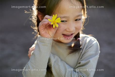 花を持っている日本人の女の子の写真素材 [182228955] イメージマート
