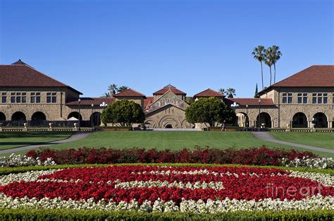 Main Quad Stanford California Photograph By Jason O Watson Pixels