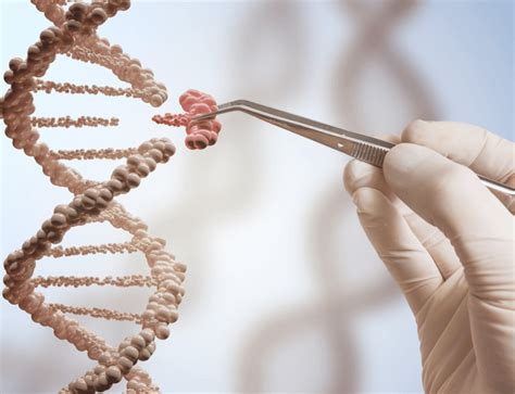 How CRISPR Gene Editing Is Revolutionizing The Worldand Why We Need To Cautious About It