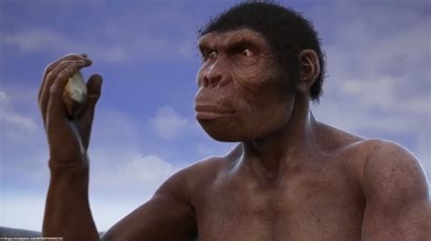 What Did Australopithecus Africanus Evolve From All Answers Ar