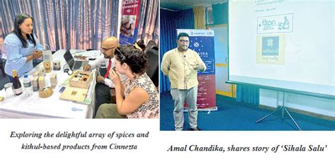 News And Events Lanka Impact Investing Network