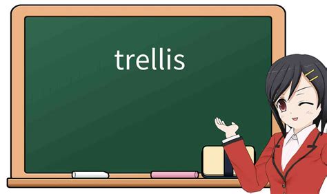 Explicación Detallada De Trellis Significado Uso Ejemplos Cómo