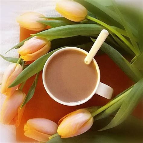 Coffee And Tulips A Delightful Morning
